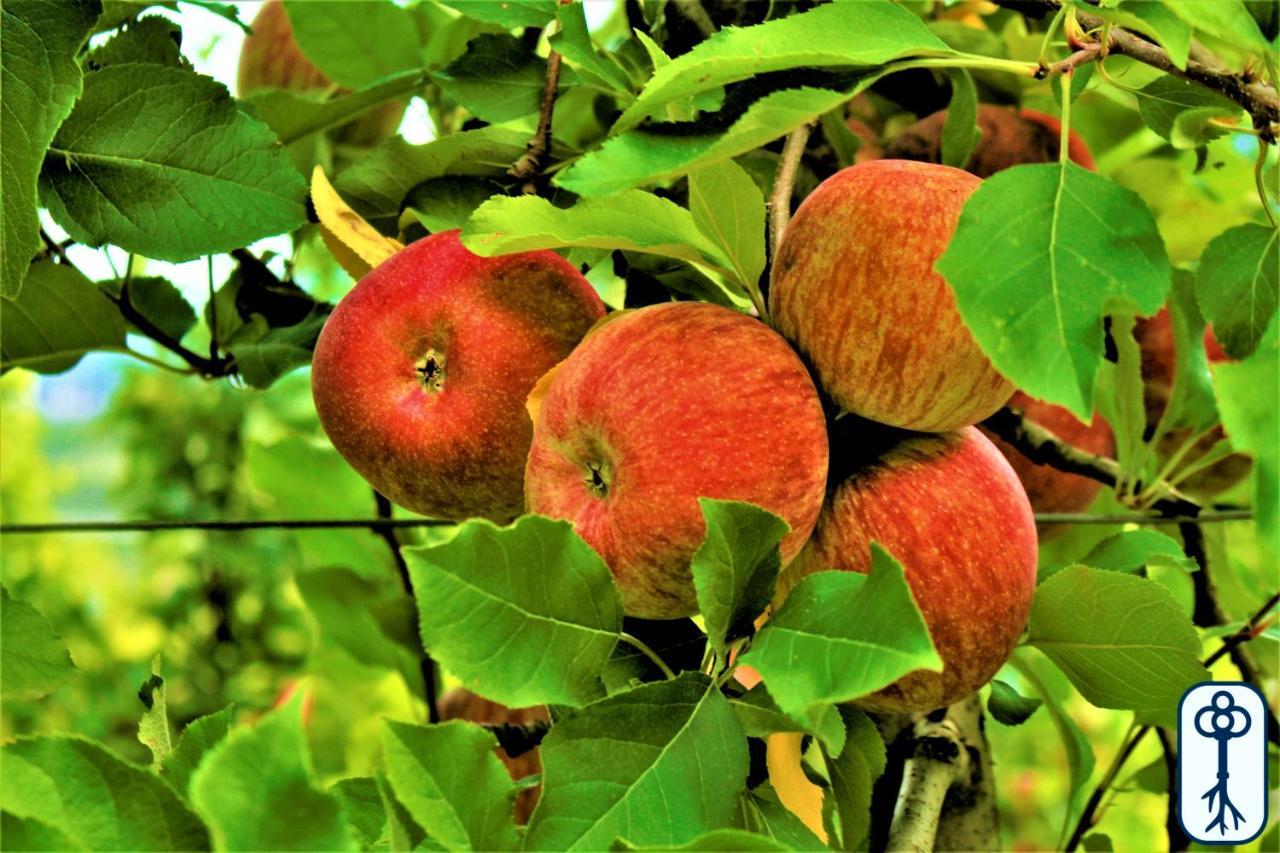 CampodennoCasa Vacanze Antico Eremo, Tra Natura E Tradizione别墅 外观 照片